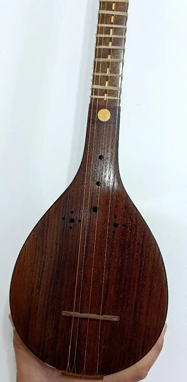 سه تار شاهرخی دو مهر اصل|سازهای سنتی|آبدانان, |دیوار