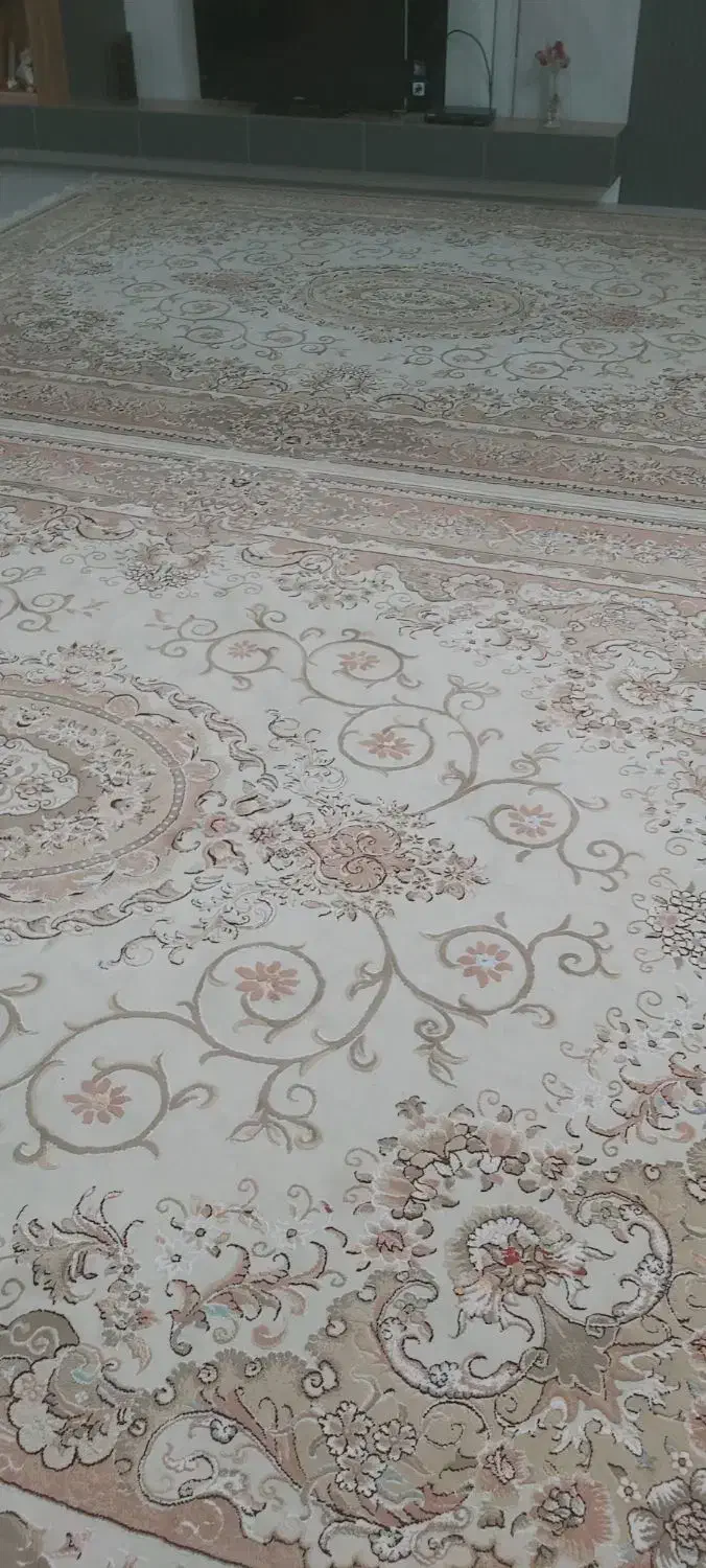 فرش ۱۲ و ۶ متری در حد نو|فرش|جهرم, |دیوار