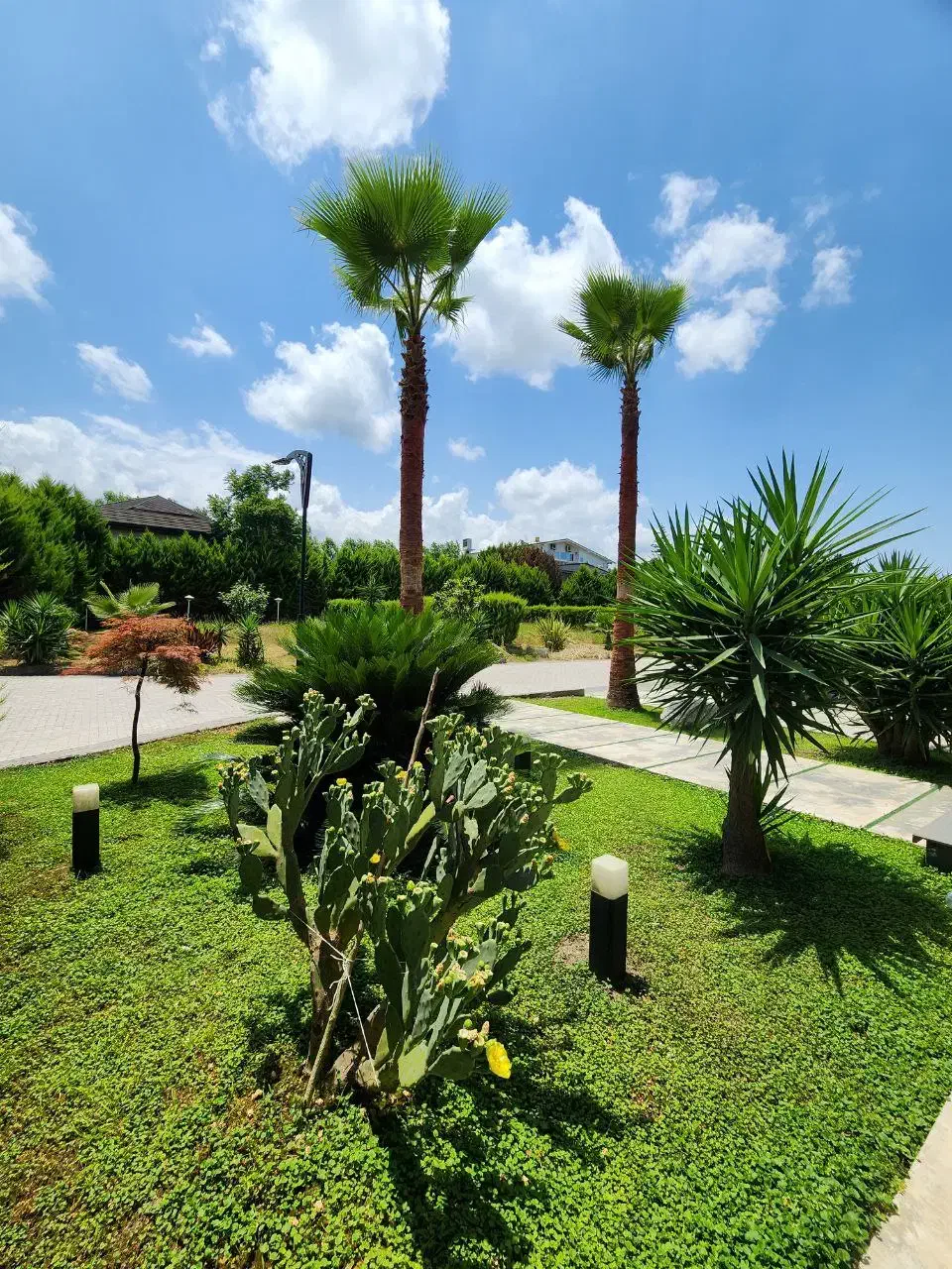 دوبلکس فرنیش استخردار۴۵۰ مترپایانکار/۷میلیاردنوشهر|فروش خانه و ویلا|رویان, |دیوار