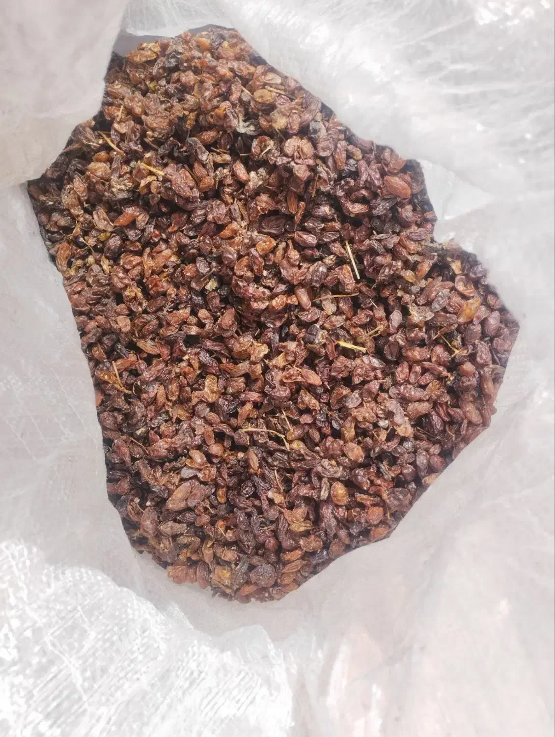 کشمش اعلا برای دبه برای پاتیل هر یک کیلو ی لیتر ج|خوردنی و آشامیدنی|گرگان, |دیوار