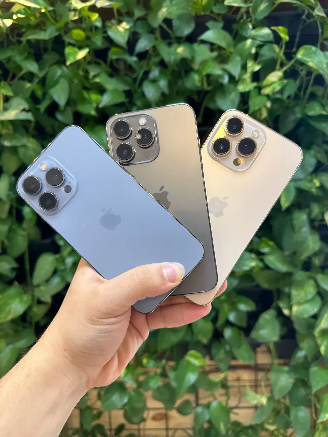 ایفون ۱۳پرو|موبایل|شیراز, معالی‌آباد|دیوار