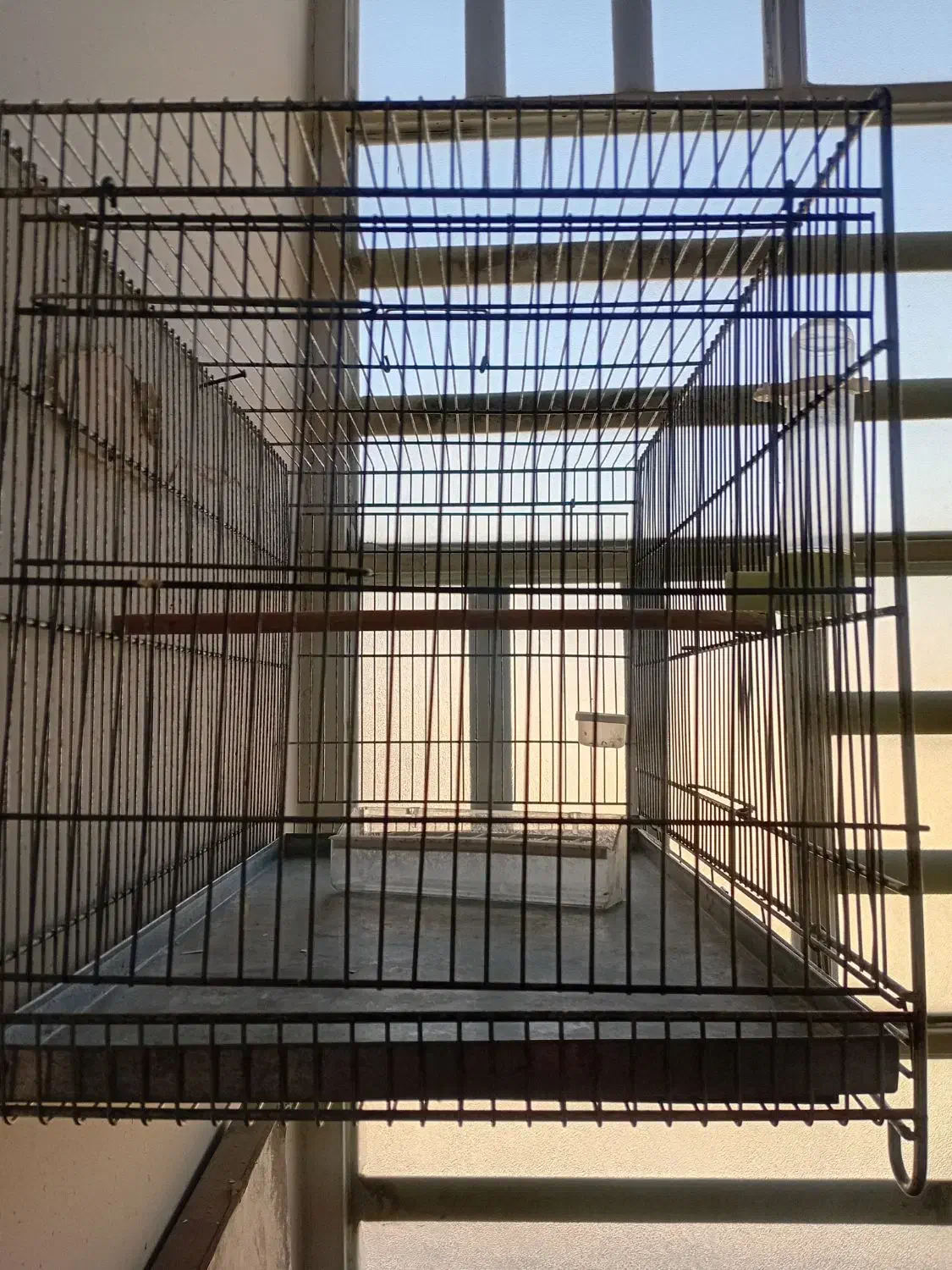 قفس|لوازم جانبی حیوانات|شیراز, میانرود|دیوار