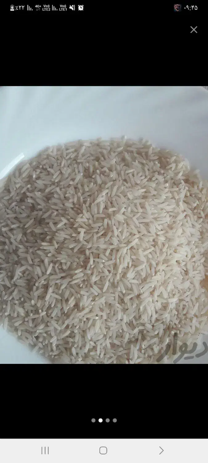 برنج هاشمی خالص.بادام آستانه اشرفیه|خوردنی و آشامیدنی|الوند, |دیوار
