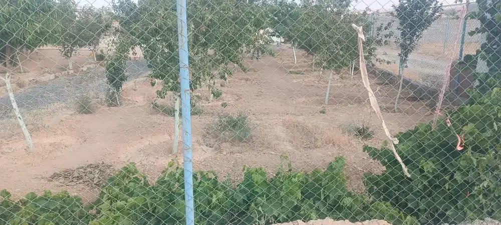 اجرای ابیاری قطره ای ساخت استخرساختمانآلاچیق باغ|خدمات باغبانی و درختکاری|ساوه, |دیوار