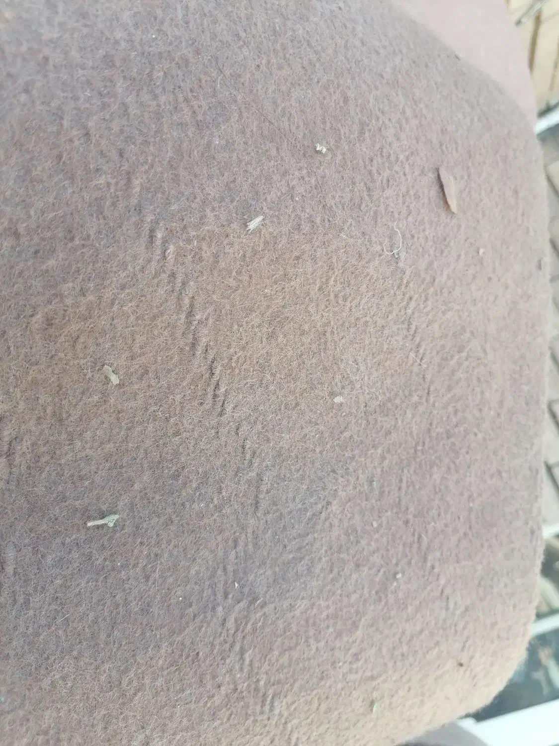 موکت قهوه ای|موکت|کرمان, |دیوار