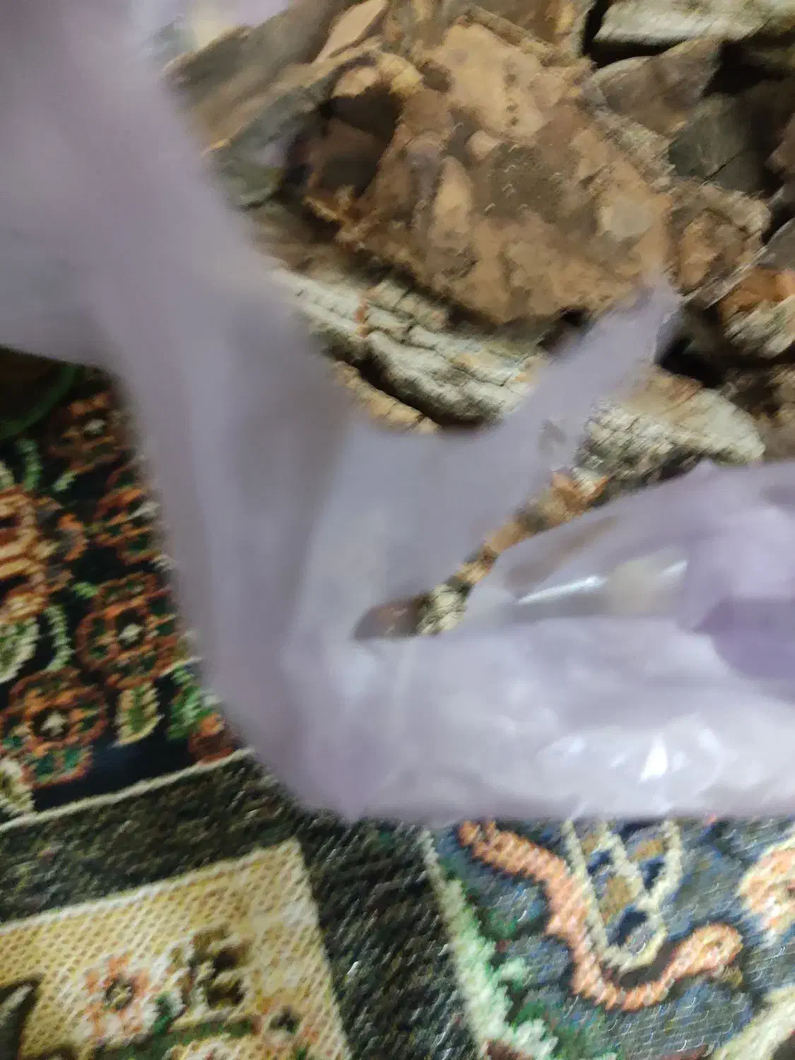 چوب درخت گردو|کلکسیون و سرگرمی|هرسین, |دیوار