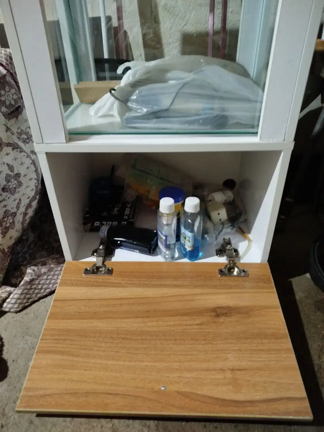 آکواریوم ماهی|ماهی|بوکان, |دیوار