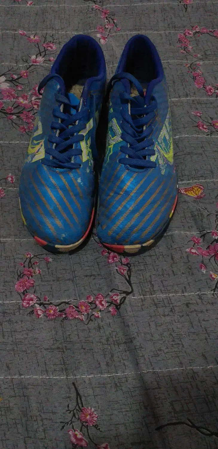 کفش فوتسال|کیف، کفش، کمربند|شادگان, |دیوار