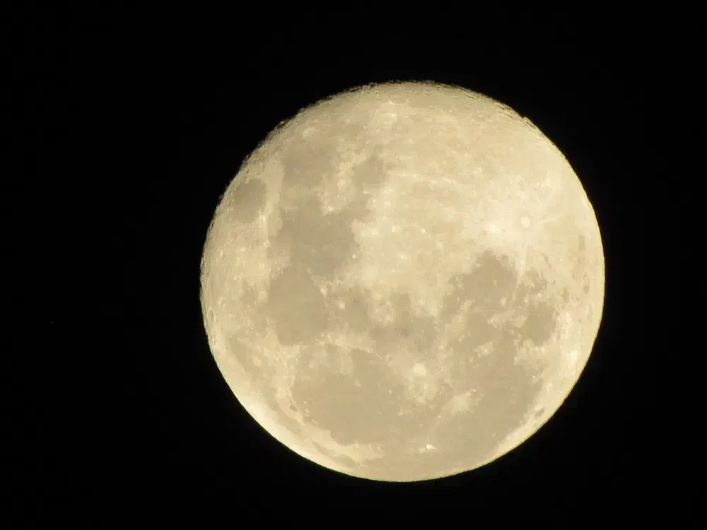 فروش دوربین کنون|دوربین عکاسی و فیلم‌برداری|مشهد, توس فردوسی|دیوار