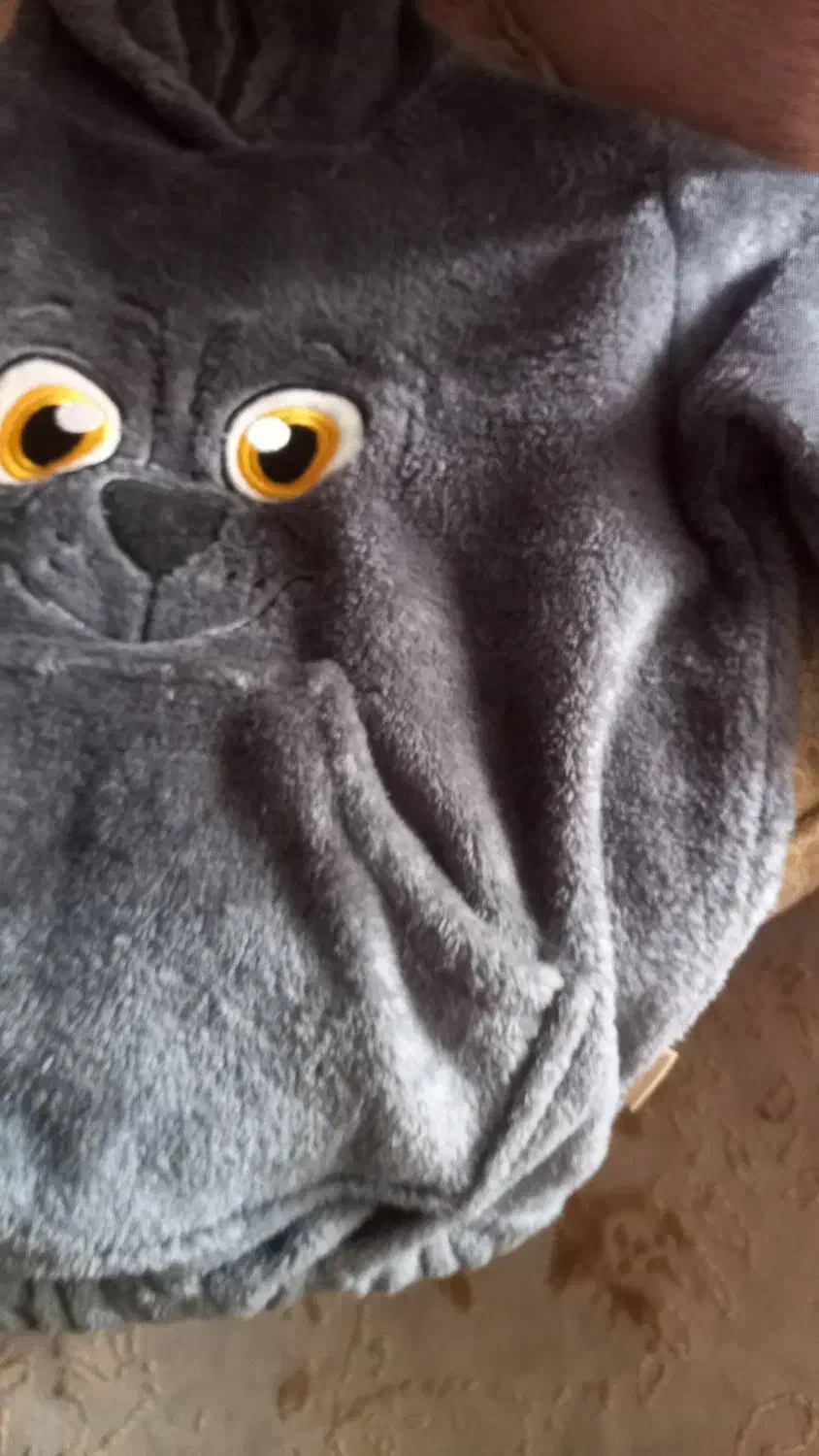 هودی پرز دار سایز ۵۵|لباس|زنجان, |دیوار