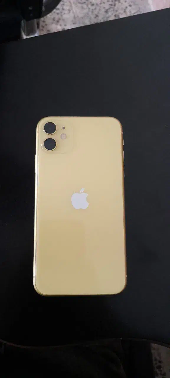 iPhone 11 normal|موبایل|سنندج, |دیوار