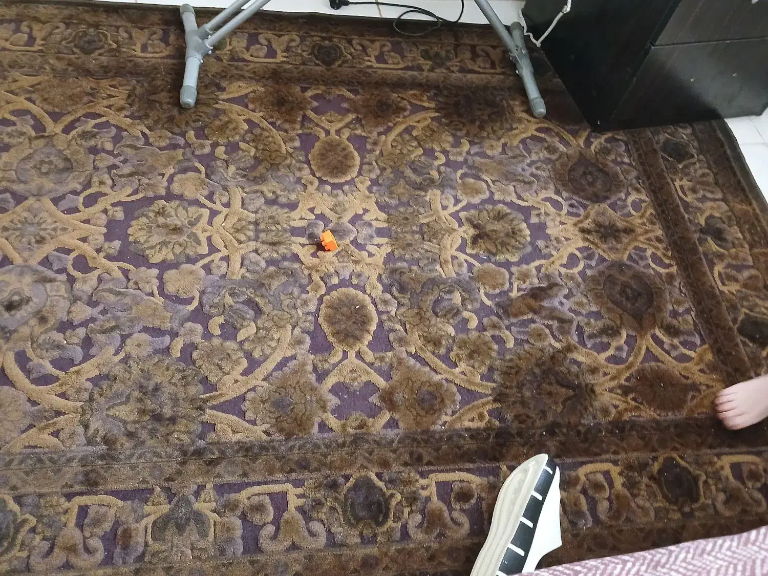 فرش|فرش|بندرعباس, |دیوار