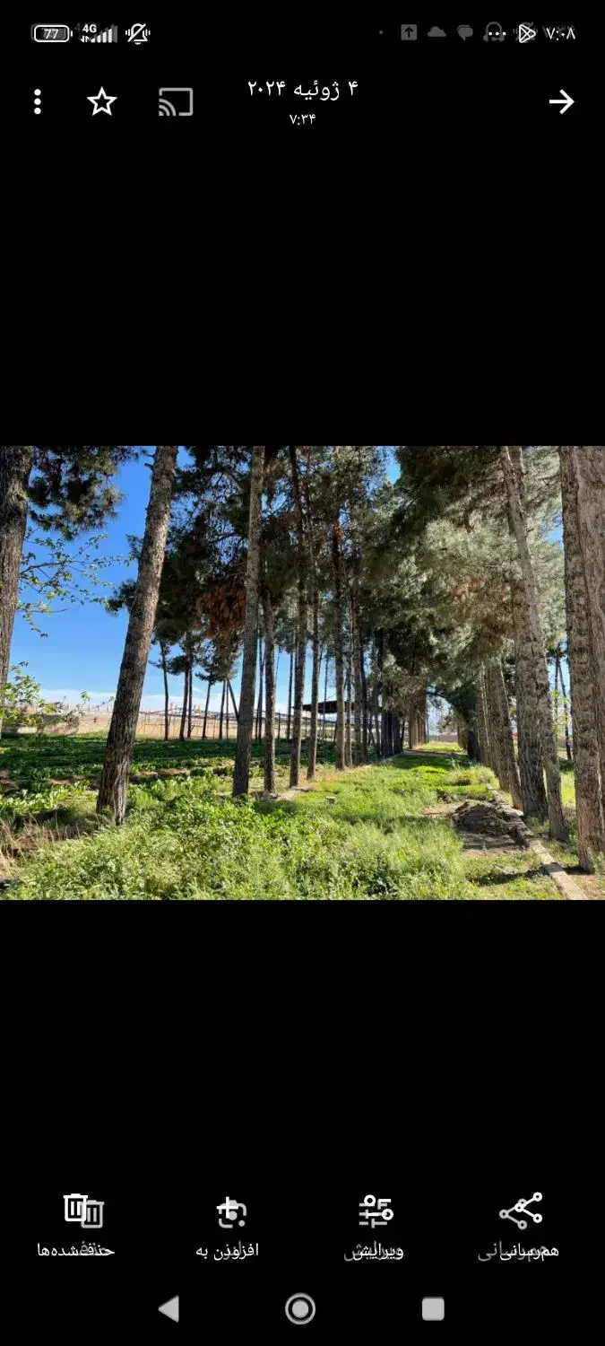 اجاره شش هزار متر از باغ|اجارهٔ دفتر صنعتی، کشاورزی، تجاری|شیراز, دست خضر|دیوار
