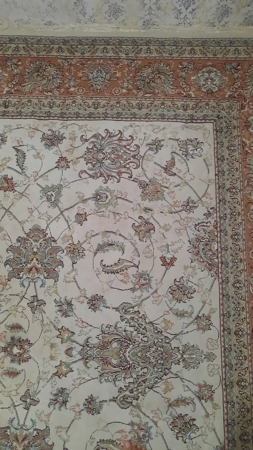 فرش ۱۲ متری|فرش|گرگان, |دیوار