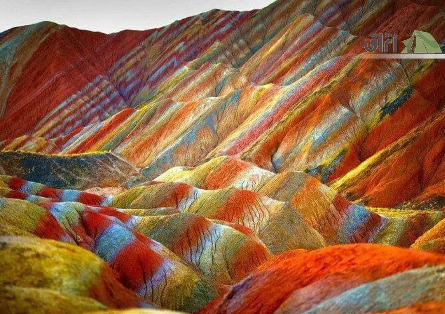 تور گردش تفریح مسافرت هرمز قشم پروز شادی|تور و چارتر|شاهینشهر, خبرنگار|دیوار