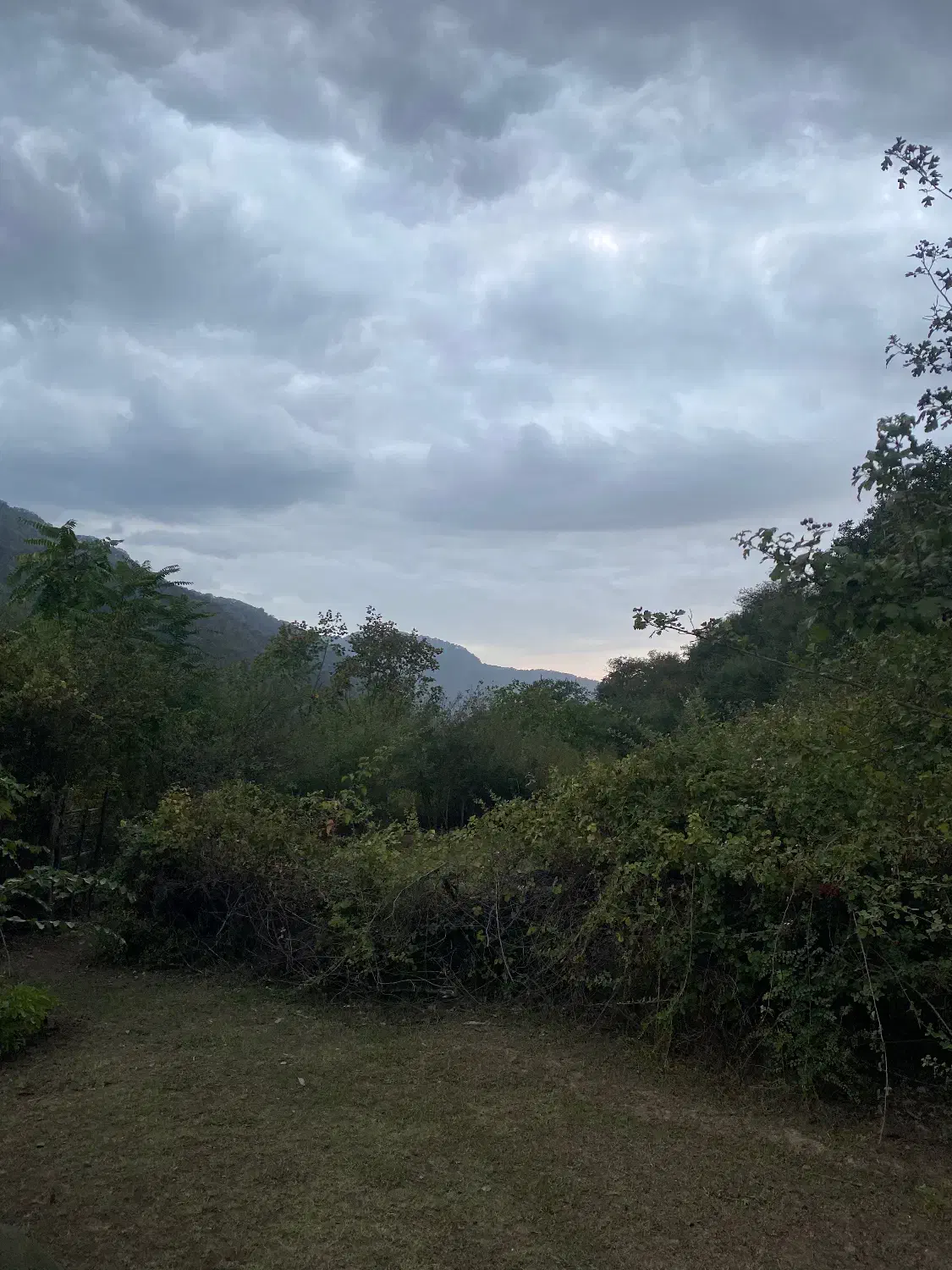 زمین مسکونی تفکیک شده|فروش زمین و ملک کلنگی|مینودشت, |دیوار