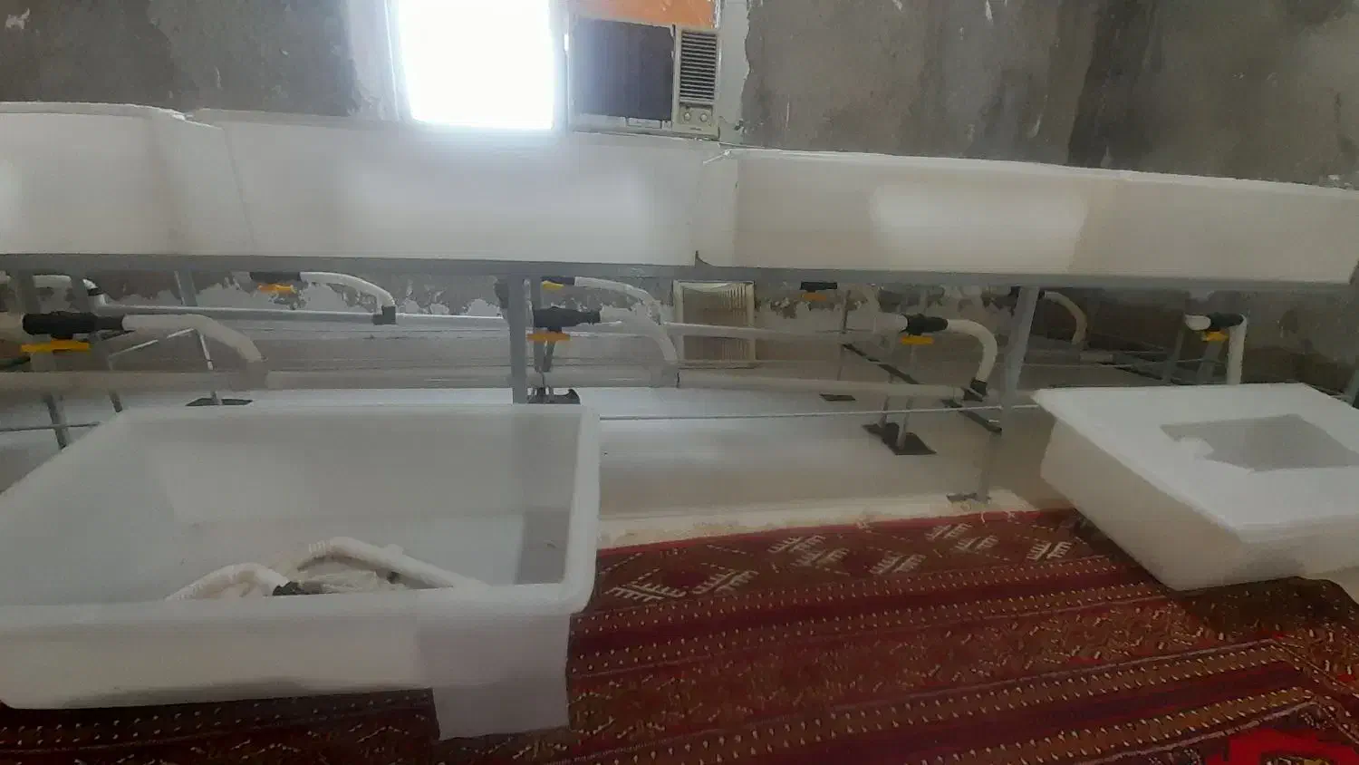 وسایل پرورش زالو|لوازم سرویس بهداشتی|کردکوی, |دیوار