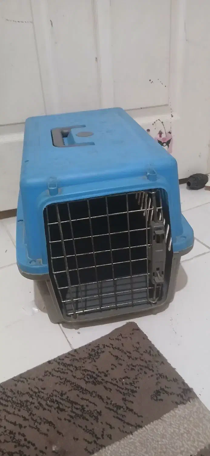 باکس|لوازم جانبی حیوانات|پرند, فاز ۶|دیوار