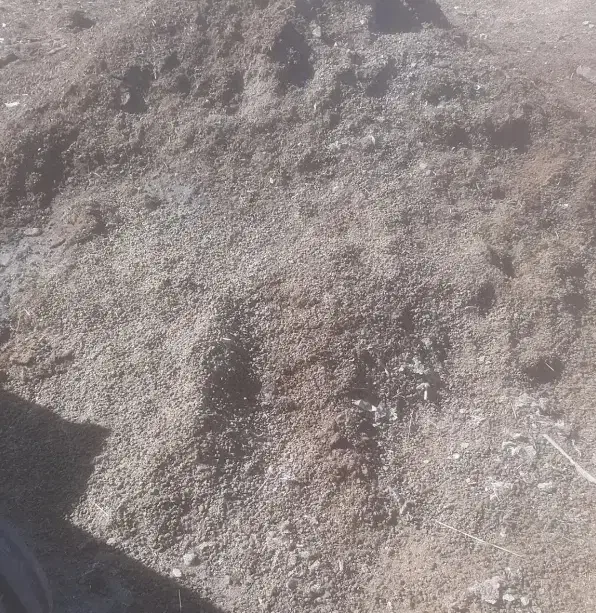 کود حیوانی گوسفندی|گل و گیاه طبیعی|ماهیدشت, |دیوار