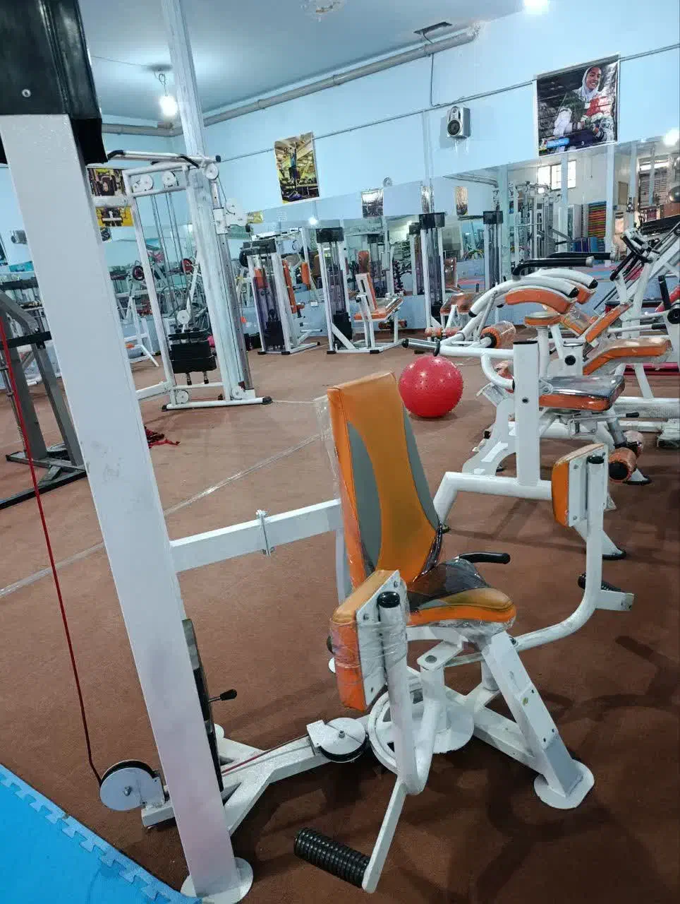 ورزشی|تجهیزات ورزشی|الشتر, |دیوار