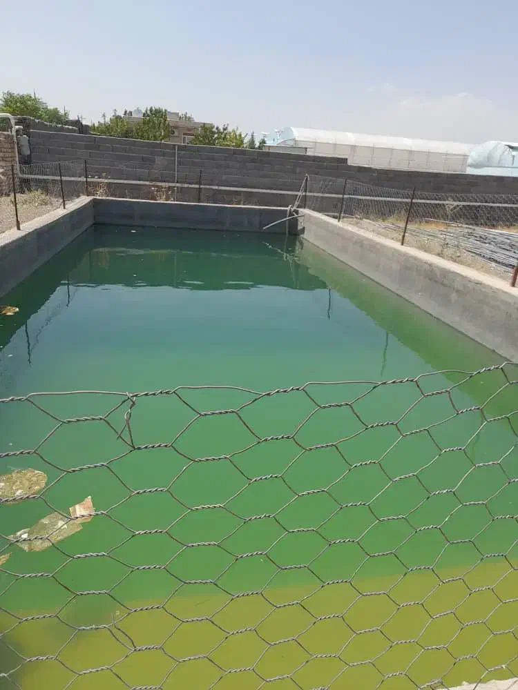 گلخانه|فروش دفتر صنعتی، کشاورزی، تجاری|قم, هنرستان|دیوار