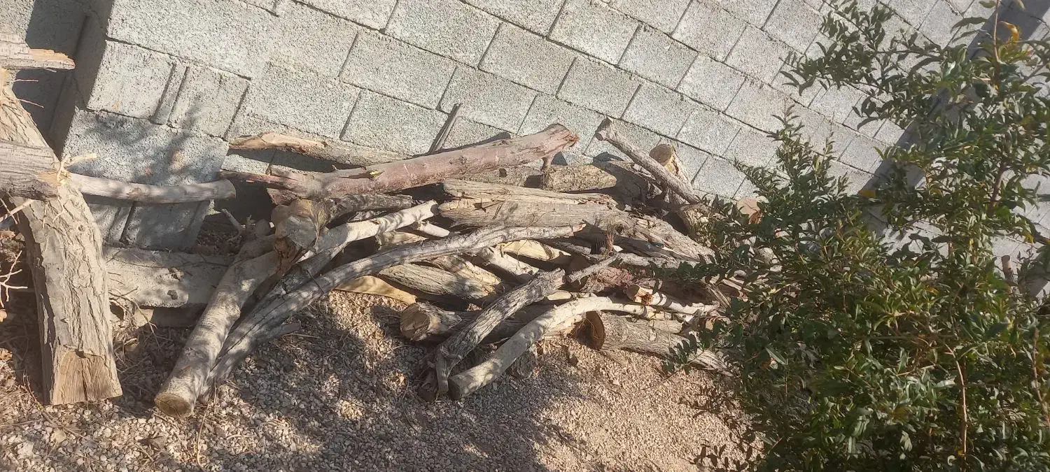 چوب خشک مخصوص ذغال|خدمات باغبانی و درختکاری|خمینی‌شهر, |دیوار