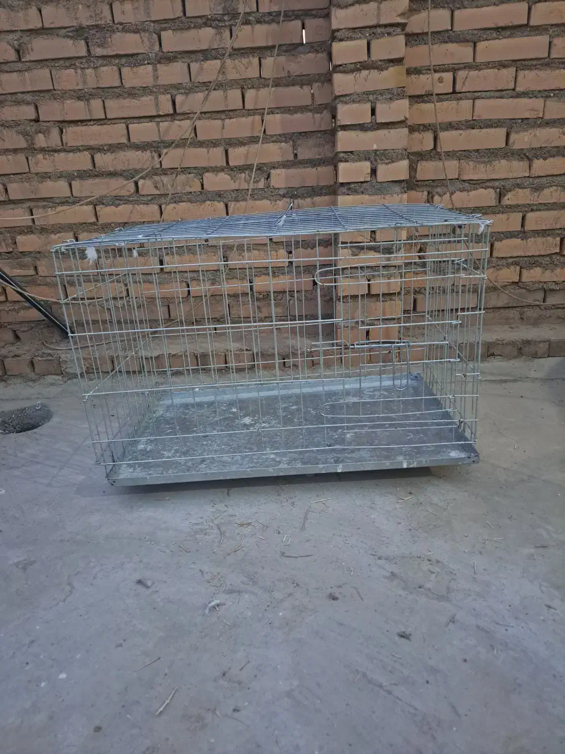 قفس جوجه گیری کبوتر|لوازم جانبی حیوانات|شوشتر, |دیوار