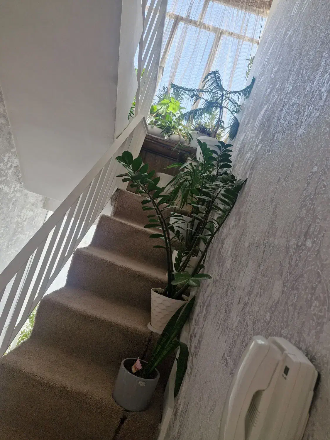 خانه ویلایی ۵۵ متری  سند شیش دانگ|فروش خانه و ویلا|مشهد, شهید مطهری|دیوار