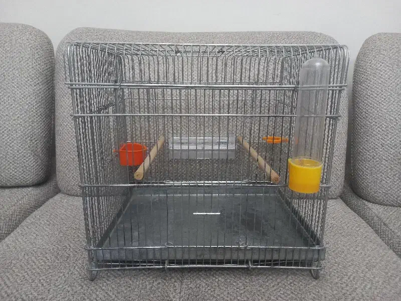 قفس سهره|لوازم جانبی حیوانات|تاکستان, |دیوار