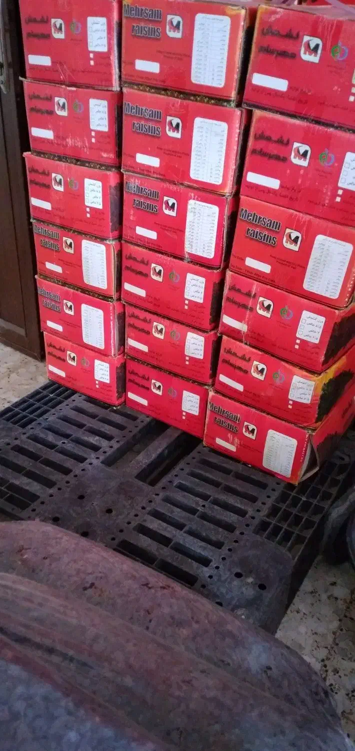 پخش کشمش به قیمت کارخانه|خوردنی و آشامیدنی|سنگر, |دیوار