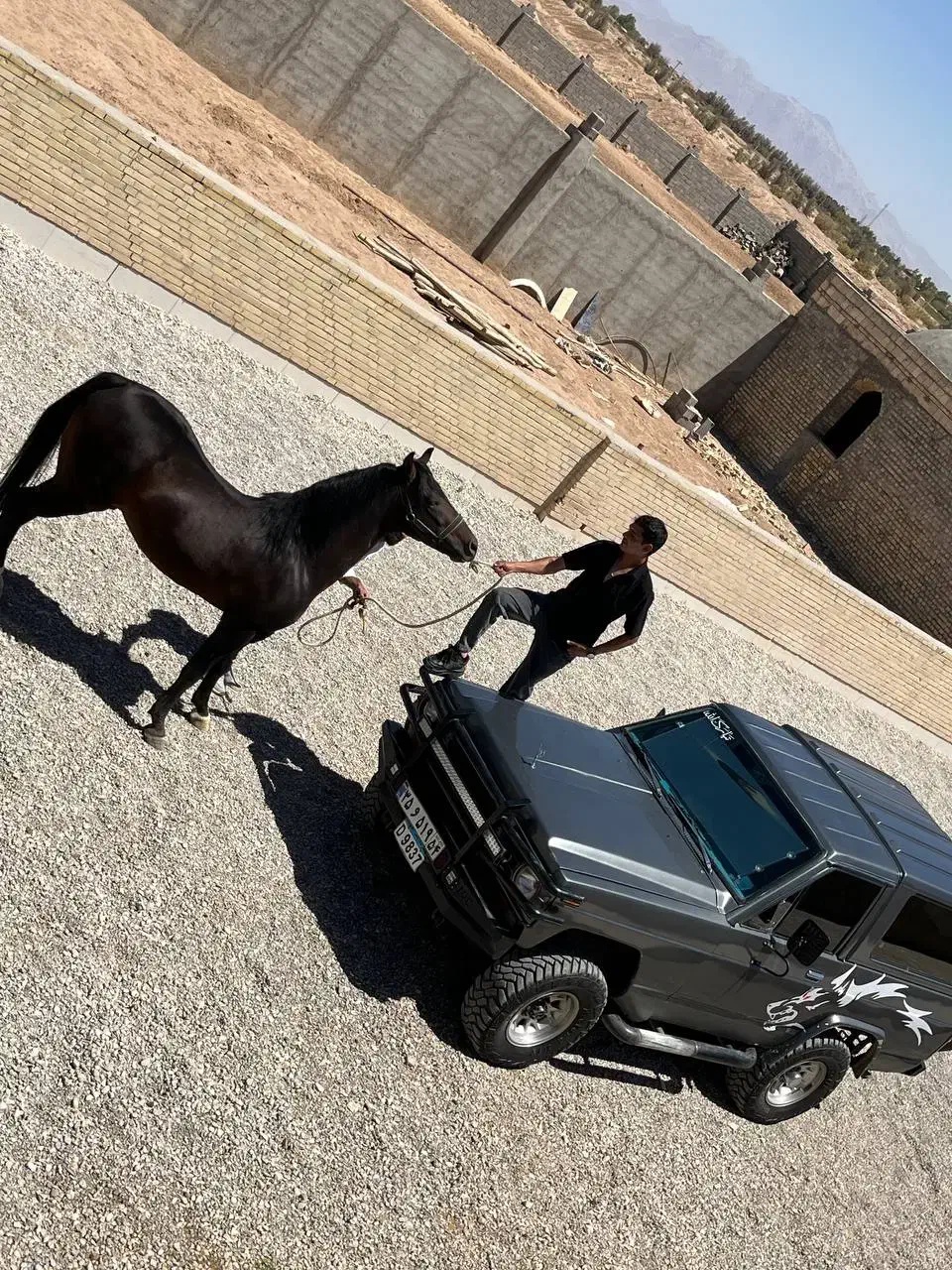 پاترول دو در|خودرو سواری و وانت|یزد, |دیوار