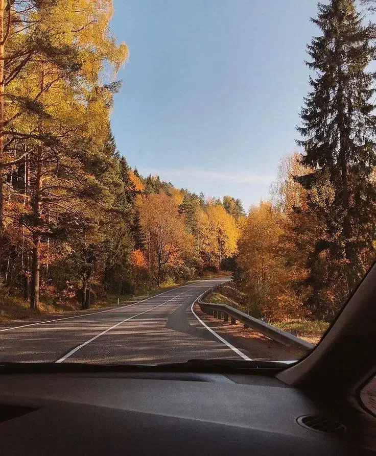 راهنمایی|فعالیت داوطلبانه|رشت, بلوار گیلان|دیوار