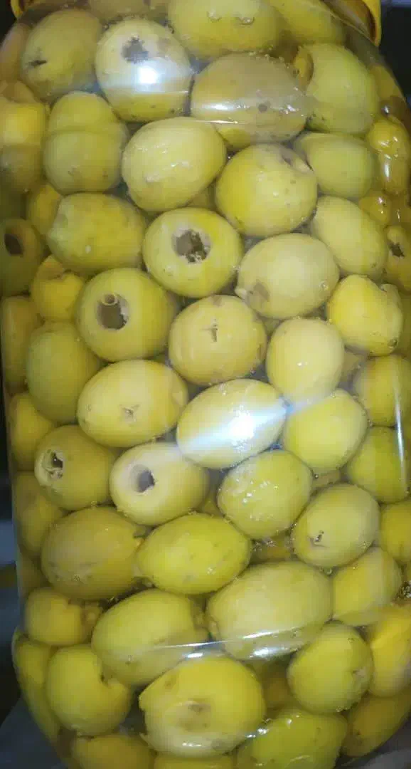 زیتون بی هسته|خوردنی و آشامیدنی|رشت, ترمینال|دیوار