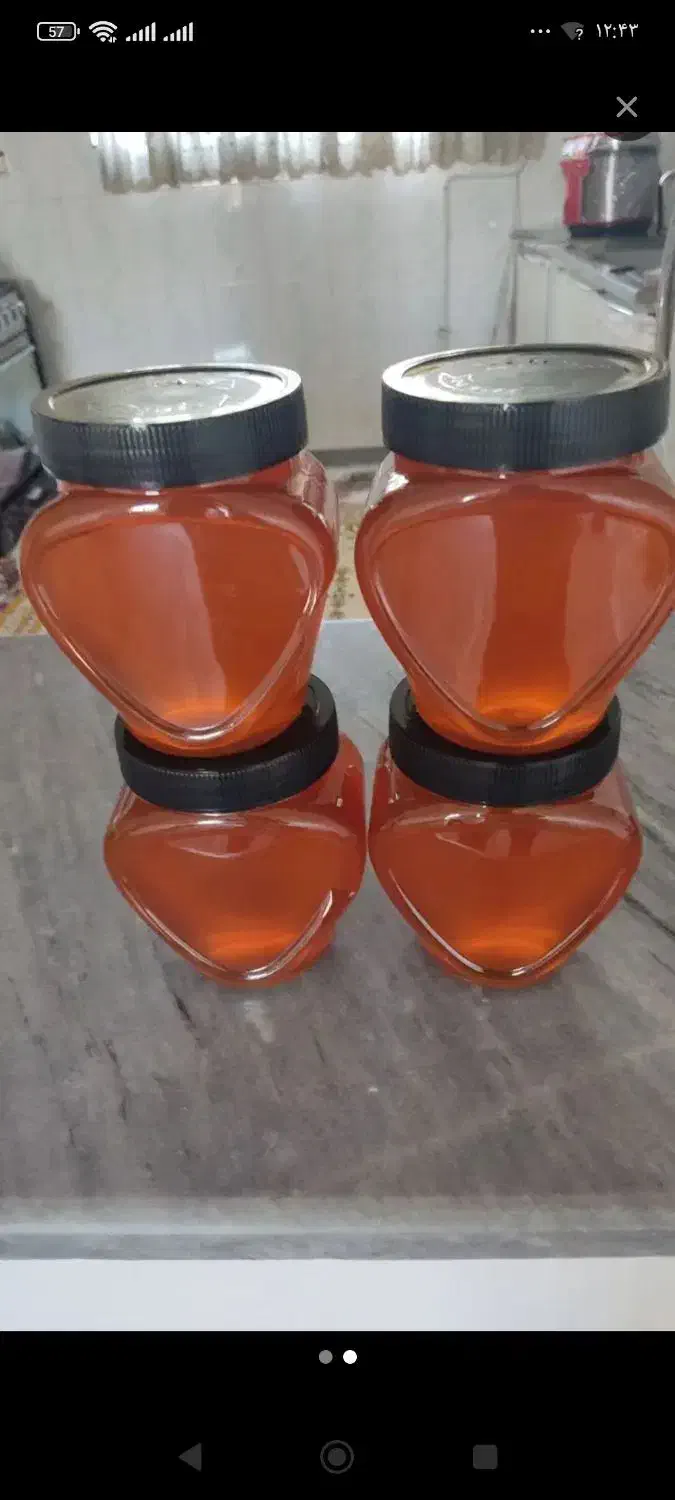 زنبور|گل و گیاه طبیعی|امام, |دیوار