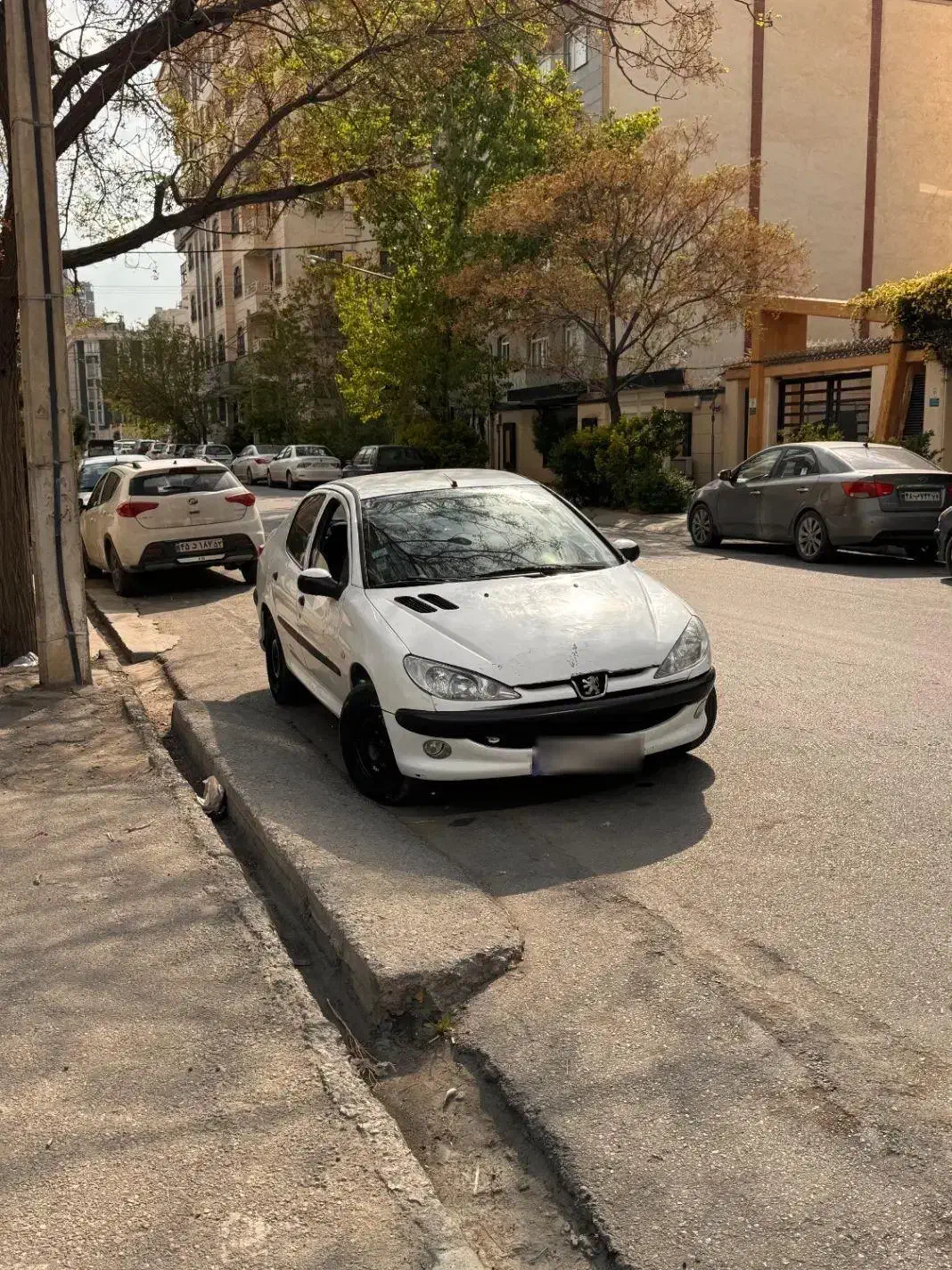 206sd|خودرو سواری و وانت|مشهد, کوثر|دیوار