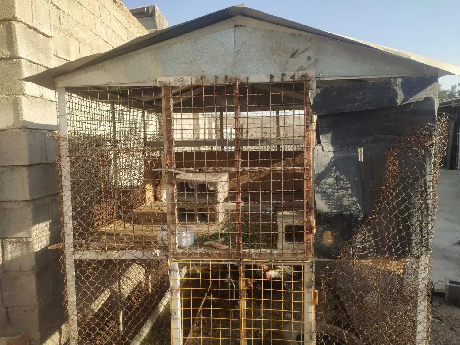 قفس بزرگ|لوازم جانبی حیوانات|شیراز, بید زرد|دیوار