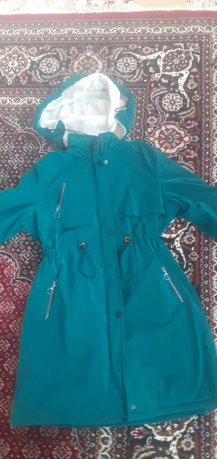 پالتو|لباس|بیستون, |دیوار