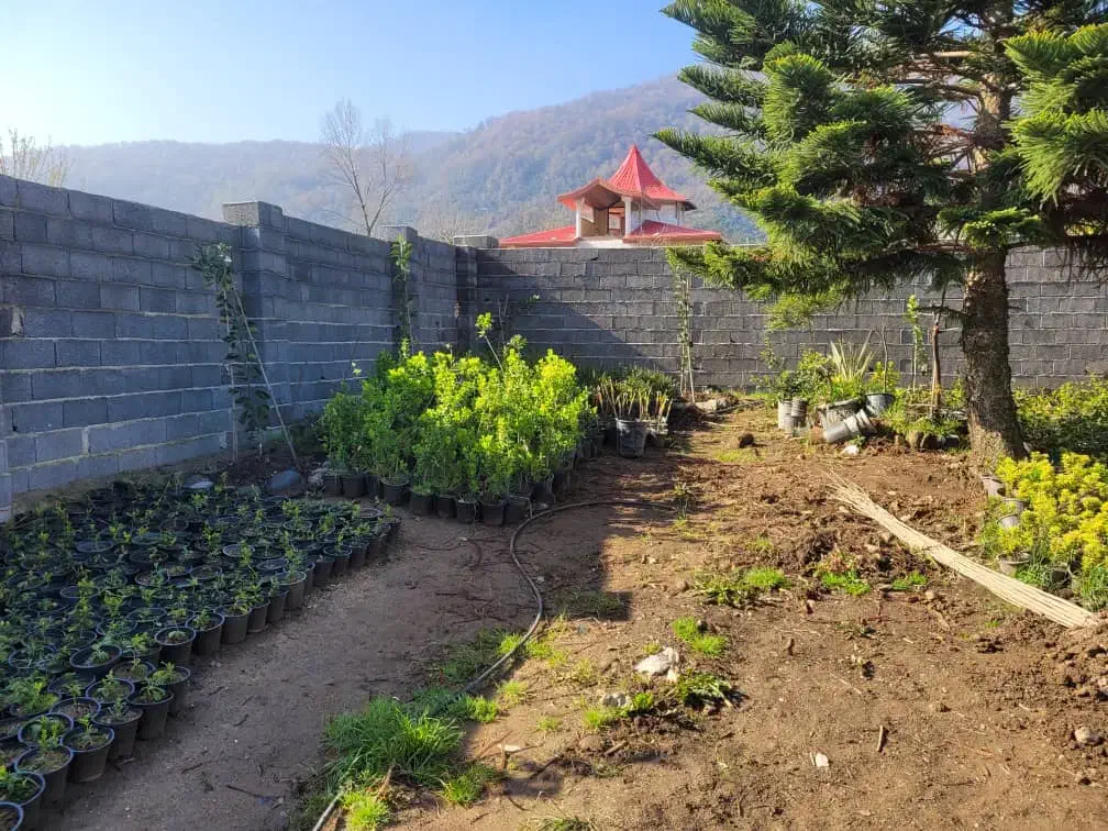 زمینی به مساحت 350 متر اوشیان|فروش زمین و ملک کلنگی|چابکسر, |دیوار