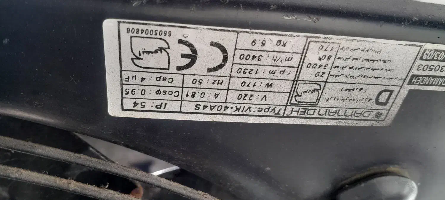 دو عدد عروس هلندی|پرنده|سلمان‌شهر, |دیوار