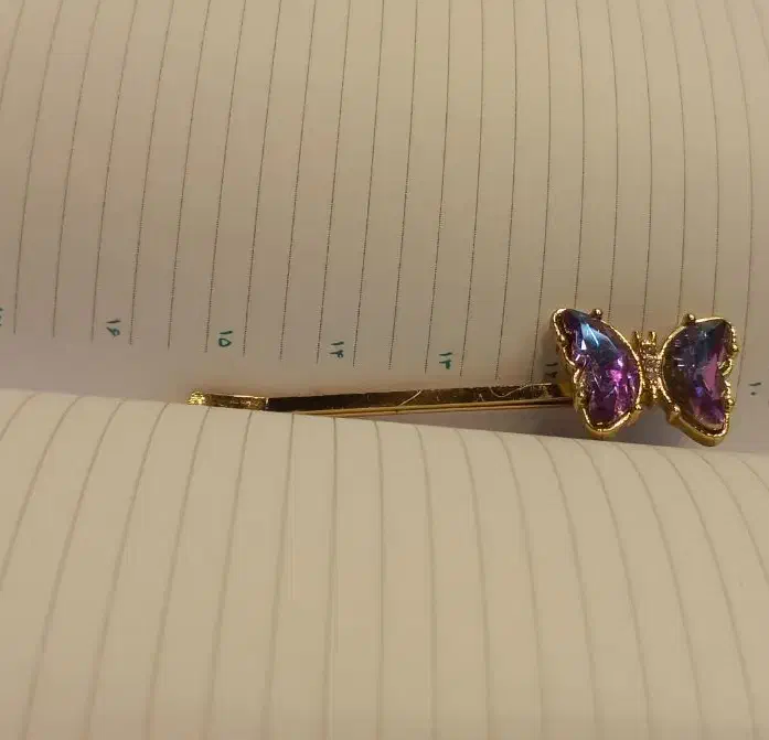 اکسسوری اورجینال،پنس،گیره مو|زیورآلات و اکسسوری|مشهد, چهنو|دیوار