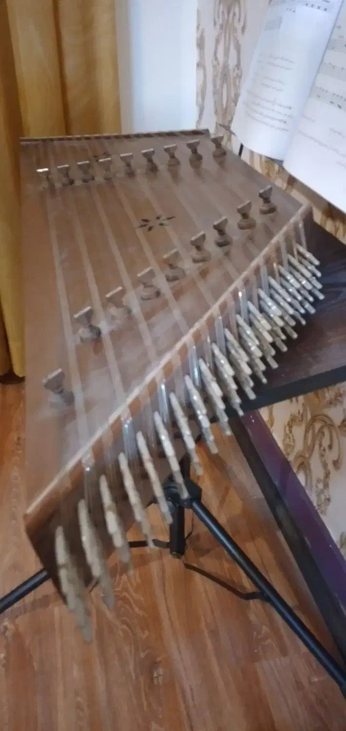 سنتور  تک مهر موسوی|سازهای سنتی|ساری, |دیوار