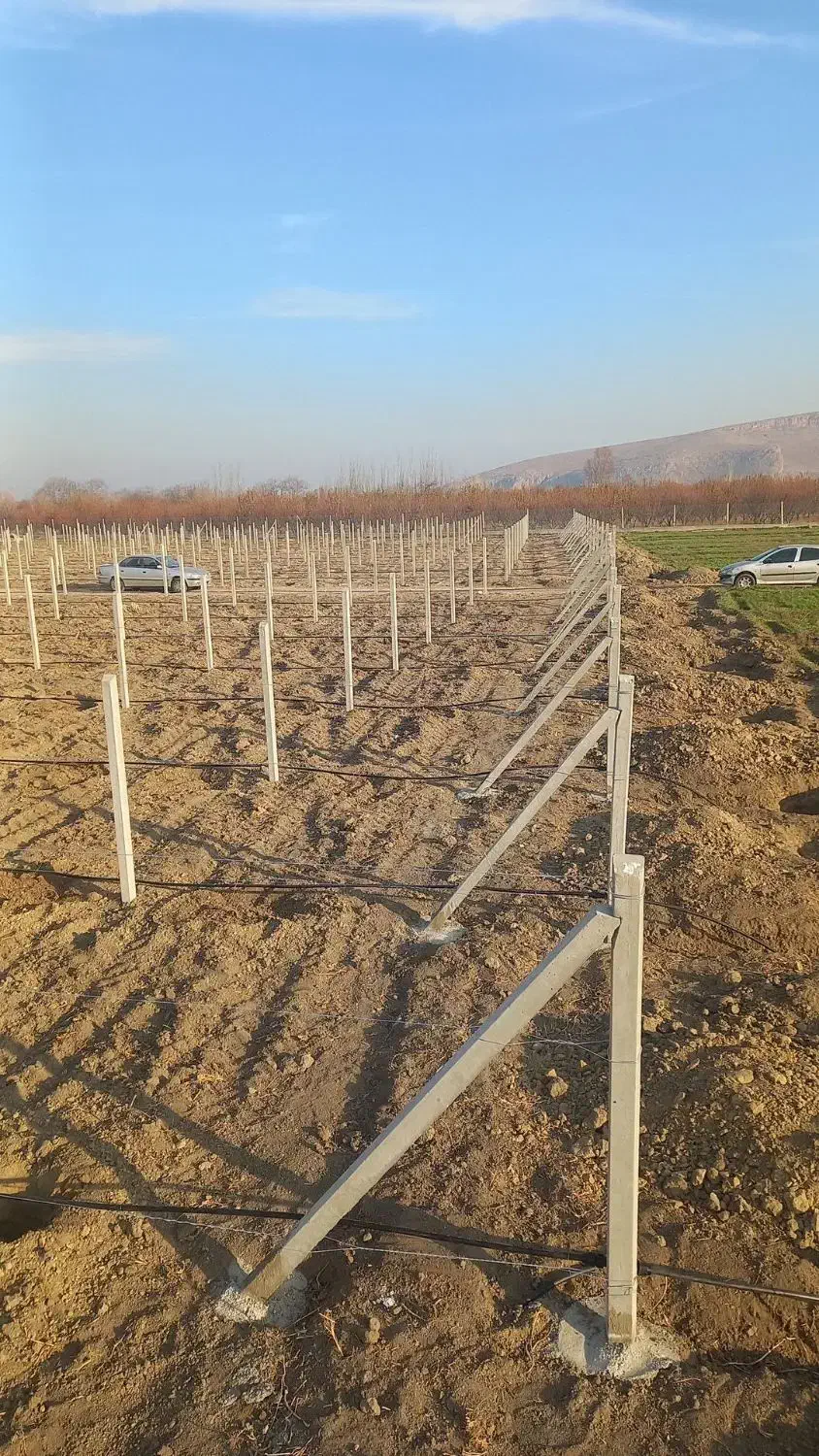 فنس کشی وتیرگذاری باغ|خدمات باغبانی و درختکاری|نوشین شهر, |دیوار