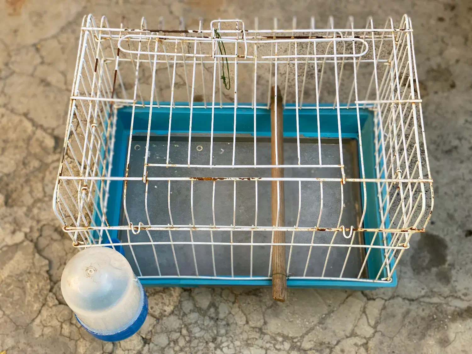 قفس حیوانات|لوازم جانبی حیوانات|سنندج, |دیوار