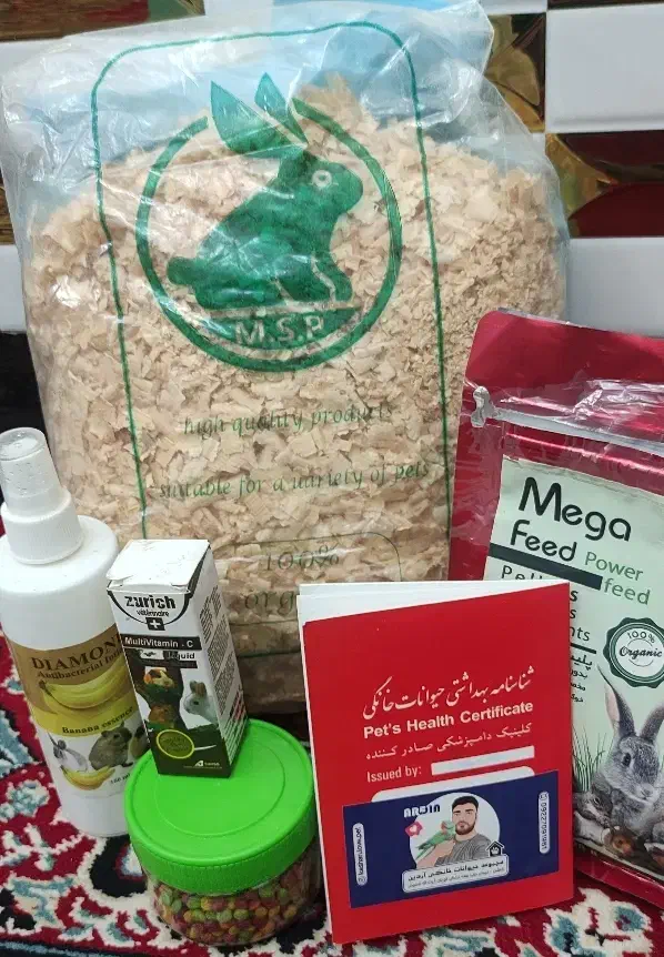 خوکچه هندی|موش و خرگوش|کاشان, گارزگاه|دیوار