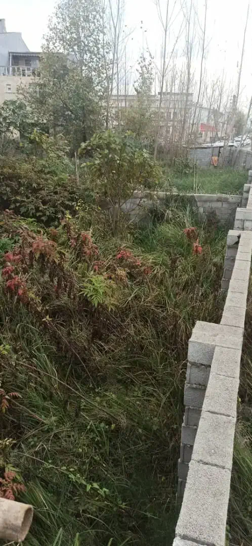 زمین متراژ ۱۶۰ مسکونی فروش فوری|فروش زمین و ملک کلنگی|رشت, گیل|دیوار