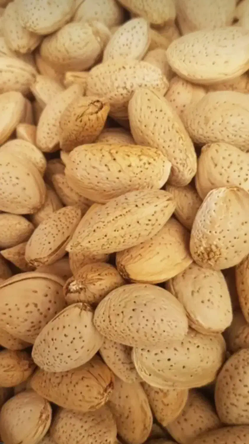 بادام درختی پرمغز  شیرین بدون تلخی و پوچی|خوردنی و آشامیدنی|تکاب, |دیوار