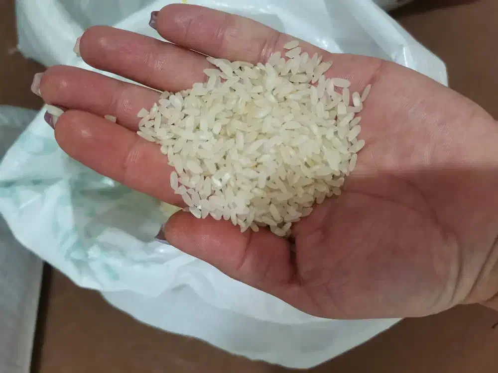 فروش 2 تن برنج کامفیروزی بکیان|خوردنی و آشامیدنی|کامفیروز, |دیوار