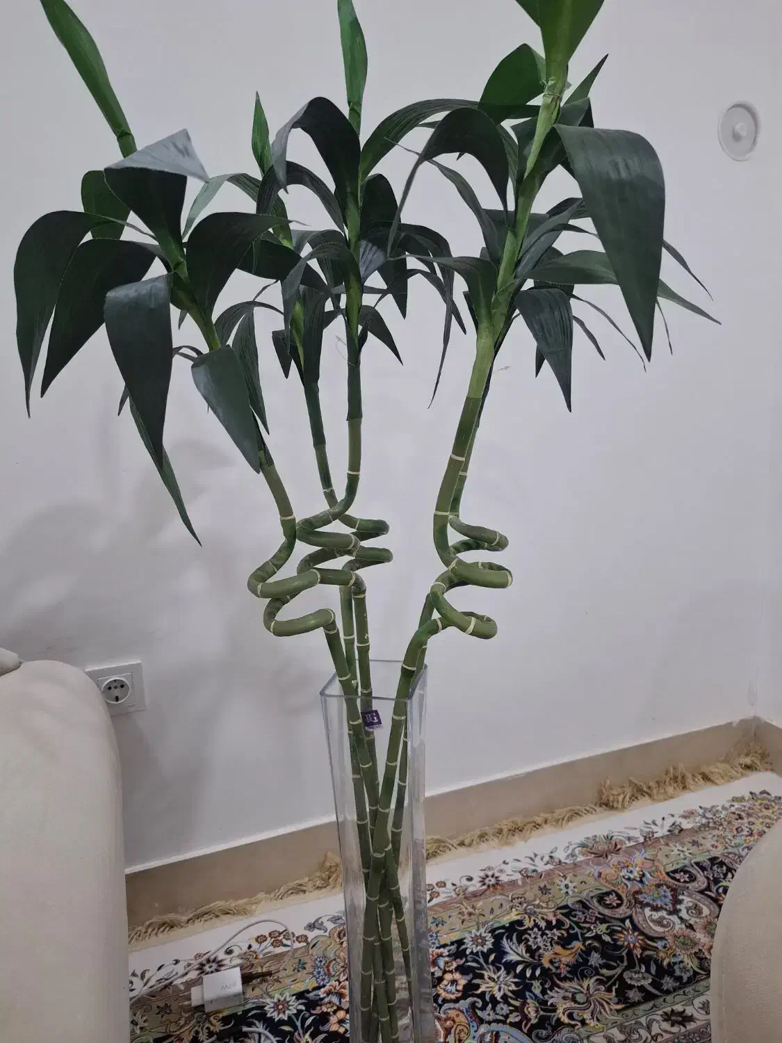 گل بامبو 5شاخه جنس خارجی|گل و گیاه طبیعی|قائن, |دیوار