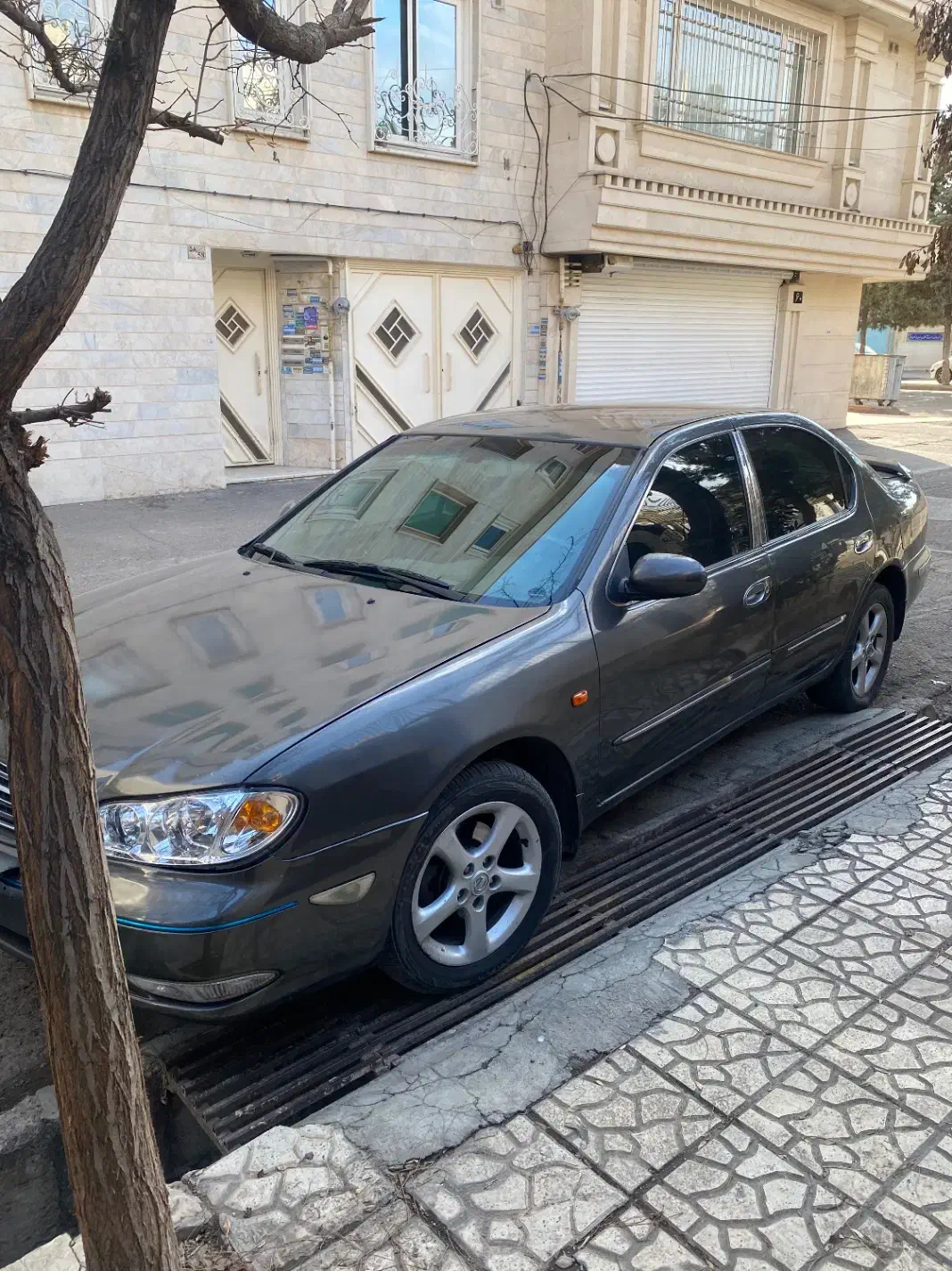 ماکسیما ۸۴|خودرو سواری و وانت|قزوین, |دیوار