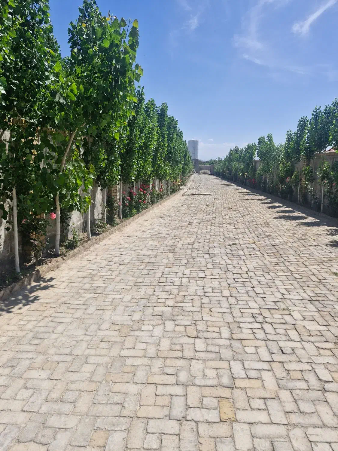 باغ وباغچه/چهاردیوارقدیمی/کاسبی هشتگرد|فروش زمین و ملک کلنگی|تهران, سعیدآباد|دیوار